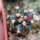 FEROCACTUS lindsayi GM 1310, El  Jaraguay, BC, seedling