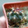 FEROCACTUS lindsayi GM 1310, El  Jaraguay, BC, seedling