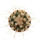 TURBINICARPUS heliae GCG 10915, illustrative photo