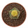 AZTEKIUM valdezii f. aurea spiralis GCG 10893, illustrative photo