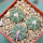 AZTEKIUM ritteri, 3 plants, one 5 cm pot, SEEDLINGS