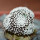 MAMMILLARIA luethyi, clone D, grafted offset