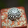 MAMMILLARIA luethyi, own roots, rooted offset
