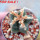 AZTEKIUM valdezii GCG 10893, clone C, own roots, 5,5 cm pot, rooted offset