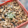 MAMMILLARIA bertholdii GCG 10006, 5 cm pot, SEEDLING