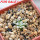 MAMMILLARIA bertholdii GCG 10006, 5 cm pot, SEEDLING