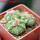 AZTEKIUM ritteri f. intercostatum GCG 10888, Puente Ciprian, 5 cm pot, 3 pcs. SEEDLINGS