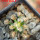 MAMMILLARIA bertholdii GCG 10006, SEEDLING