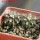 UEBELMANNIA buiningii f. green RNK 55, 5 cm pot, 2 pcs., SEEDLINGS