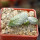 PSEUDOLITHOS caput-viperae, pot 6 cm, rooted offset