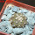 COPIAPOA columna - alba GCG 15329b, f. white spines ex Gerardo Snicer, 5 cm pot, seedling