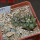 COPIAPOA cinerea var. horrida GCG 16793, 5 cm pot, 2 pcs. SEEDLINGS