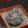 COPIAPOA columna - alba GCG 15015, L35 entronque 2., 5 cm pot, SEEDLING