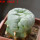 LOPHOPHORA alberto-vojtechii f. cristata, 6 cm pot, grafted