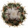 CORYPHANTHA tripugionacantha