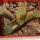 HAWORTHIA springbokvlakensis f. variegate, 5,5 cm, SEEDLING