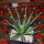 AGAVE albopilosa, clone 2 offset of mother plant, pot 7 cm