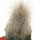 CREMNOCEREUS albipilosus, pot 4 cm