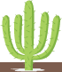 Prodej kaktusů a sukulentů